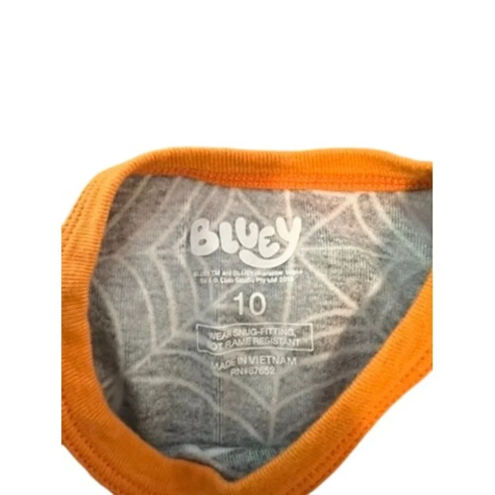 Bluey bingo halloween